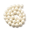 Polished Shell Pearl Round Beads Strands PEAR-XCP0001-10-2