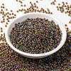 MIYUKI Round Rocailles Beads SEED-X0055-RR0357-2