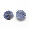 Natural Blue Spot Jasper Cabochons G-R416-14mm-45-2