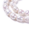 Natural Cultured Freshwater Pearl Beads Strands PEAR-L021-21-01A-2