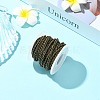 5M Nylon Coated 304 Stainless Steel Braided Wires TWIR-CJ0001-02B-5