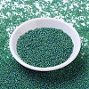 MIYUKI Round Rocailles Beads SEED-G007-RR0146FR-2