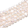 Natural Cultured Freshwater Pearl Beads Strands PEAR-T006-18B-2