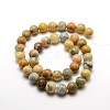 Round Natural Crazy Lace Agate Beads Strands G-P058D-01-1