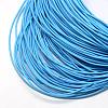 Spray Painted Cowhide Leather Cords WL-R001-2.0mm-25-2