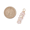 2Pcs 2 Styles Natural Amethyst/Green Aventurine/Rose Quartz/Lapis Lazuli/Quartz Crystal Double Terminated Pointed Pendants PALLOY-JF03122-3