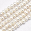Natural Cultured Freshwater Pearl Beads Strands X-PEAR-F007-61-1