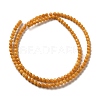 Natural Freshwater Shell Beads Strands SHEL-H003-03E-2