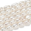 Natural Cultured Freshwater Pearl Beads Strands X-PEAR-S012-41-5