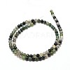 Natural Moss Agate Round Bead Strands X-G-P072-01-4mm-2
