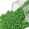 TOHO Round Seed Beads SEED-XTR15-0047-1