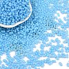Baking Paint Glass Seed Beads SEED-L011-09A-06-1