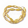 Drawbench Freshwater Shell Beads Strands SHEL-T014-008B-05-2