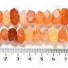 Natural Botswana Agate Beads Strands G-N327-05-19-5