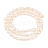Natural Cultured Freshwater Pearl Beads Strands PEAR-D003-01D-05-3