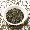 MIYUKI Delica Beads SEED-X0054-DB1739-2