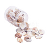 1 Box Scallop Seashells Clam Shell Dyed Beads with Holes for Craft Making 40-50pcs BSHE-YW0001-01-1