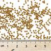 MIYUKI Round Rocailles Beads X-SEED-G009-RR4460-2