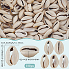 100Pcs Natural Cowrie Shell Beads BSHE-LT0001-08-2