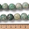 Natural Green Spot Jasper Beads Strands G-F818-A05-14mm-5
