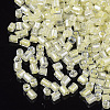 8/0 Two Cut Glass Seed Beads SEED-S033-10A-06-2
