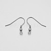 316 Stainless Steel Earring Hooks X-J0R62011-1