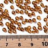 8/0 Glass Seed Beads SEED-A005-3mm-22C-3