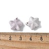 Natural Rainbow Alashan Agate Charms G-G194-02B-3