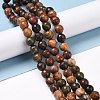 Natural Polychrome Jasper/Picasso Stone/Picasso Jasper Beads Strands G-E571-25B-2