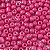 6/0 Glass Seed Beads SEED-S058-A-F421-3
