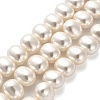 Shell Pearl Beads Strands BSHE-F013-01A-1