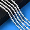 Natural Cultured Freshwater Pearl Beads Strands PEAR-N012-03B-6