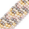 Shell Pearl Bead Strands LS-BSHE-L017-17-3