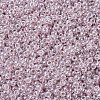 MIYUKI Round Rocailles Beads SEED-G007-RR0542-3