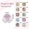 10 Boxes 10 Colors PET Shiny Nail Art Glitter MRMJ-TA0001-33-3