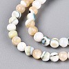 Luminous Natural Seashell Shell Beads Strands SSHEL-N040-05-4