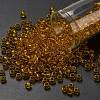 TOHO 6/0 Round Beads SEED-TR06-2155-1