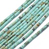 Natural Turquoise Beads Strands G-F631-B13-1
