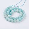 Natural Amazonite Beads Strands G-J376-19F-10mm-2
