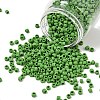 TOHO 6/0 Round Beads SEED-TR06-0047F-1