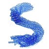 Transparent Painted Glass Beads Strands DGLA-A034-T6mm-A01-1