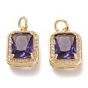 Brass Glass Charms ZIRC-F116-09B-G-1