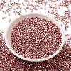 Electroplate Glass Seed Beads SEED-S042-01B-14-2