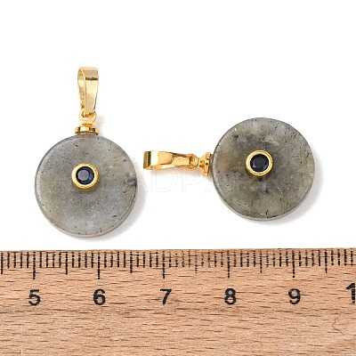 Natural Labradorite Pendants G-P628-03G-04-1