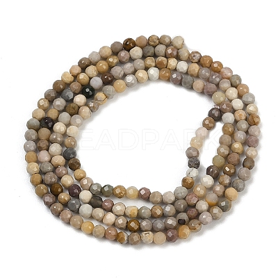 Natural Alashan Agate Beads Strands G-C181-B05-01-1