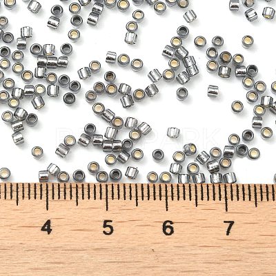 Glass Seed Beads X-SEED-S042-04B-31-1