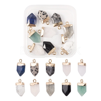 10Pcs 10 Style Natural Gemstone Pointed Pendants G-LS0002-04-1