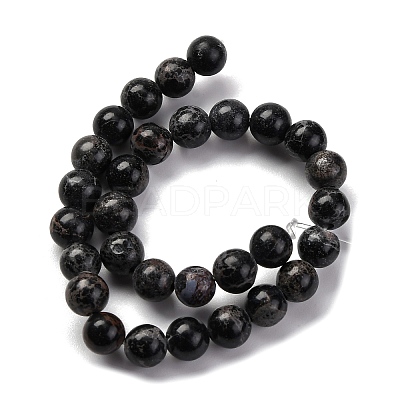 Dyed Natural Regalite/Imperial Jasper/Sea Sediment Jasper Beads Strands G-B124-C02-05-1