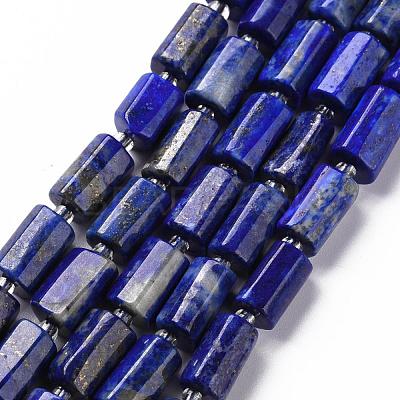 Natural Lapis Lazuli Beads Strands G-S345-8x11-002-1