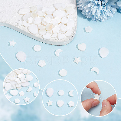 120Pcs 6 Styles Natural Shell Beads SHEL-GO0001-07-1